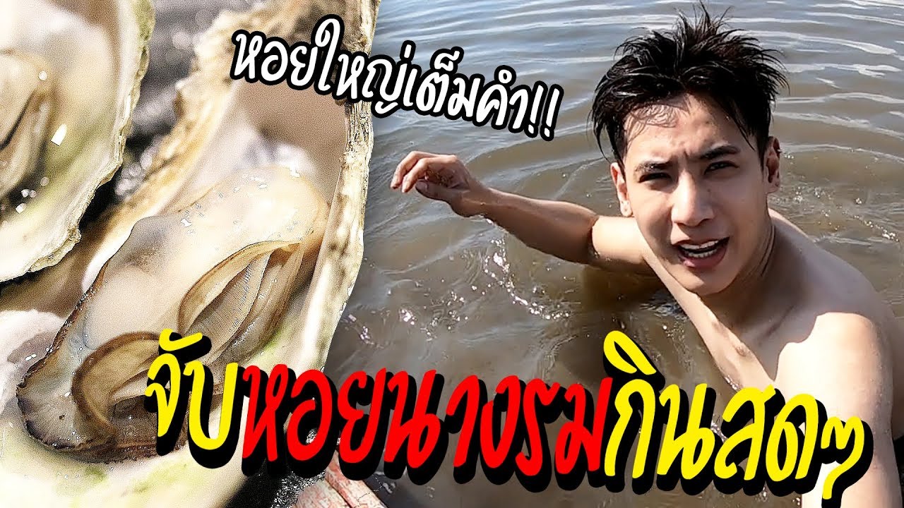ละมุนมากพี่เอ้ย!! ไปอ่าวไทยจับหอยนางรมกินสดๆ (วิถีชาวบ้านคนเมืองจันท์) l ออกล่ากิน EP.11