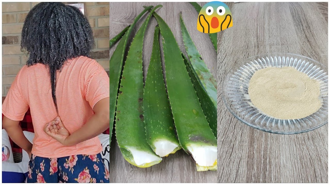 How To Make Aloe Vera Powder At Home For Extreme Hair Growth Home