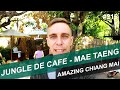 Jungle de cafe kuetchang mae taeng  amazing chiang mai  215