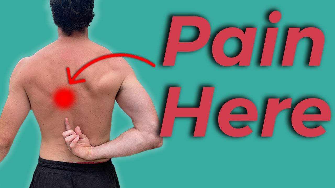 Mid Back Pain Exercises For Relief Strength Beginner To Advanced Mid Back Pain Exercises For Relief Strength Beginner To Advanced