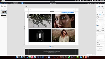 Nicepage Gallery Bug