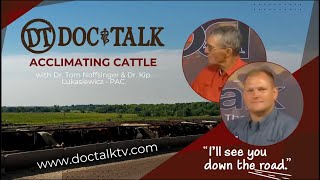 DocTalk Ep 714 Acclimating Cattle