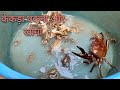 गांव में केकड़ा कैसे पकड़ते हैं/Catching Crab/Kekda Ki Pakodi/kekda/Mud Crab/Fishing Man