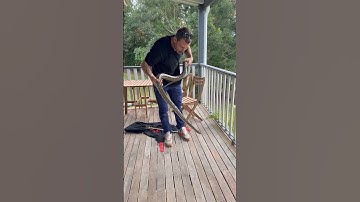 Carpet Python I found with an old injury. Got the all clear from Eumundi wildlife before release