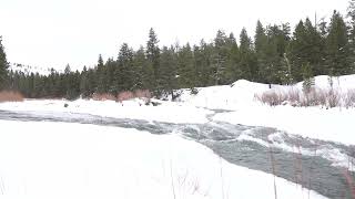 Winter Blackfoot River Flowing in Greenough, MT