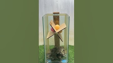 Mouse Trap Homemade - Best mouse trap ideagood rat trap at home #mousetrap #mousetrap2022 #rattrap