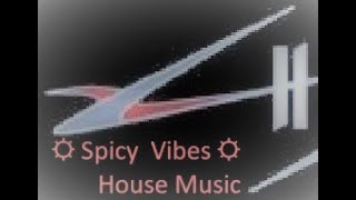☼Spicy Vibes☼ House Music