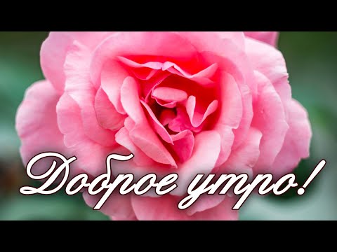 🌷ПОЖЕЛАНИЕ НА ВЕСЬ ДЕНЬ🌷 С Добрым Утром Хорошего Дня. Доброе Утро! СТИХ