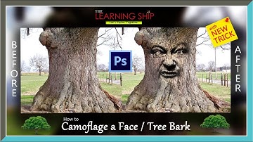Photoshop Tutorial | Camouflage a Face | Tree Bark | Face on Tree | The Learning Ship