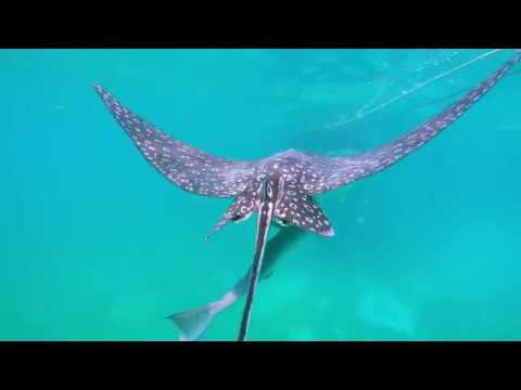 Discover Belize Aboard Your Own Private Yacht