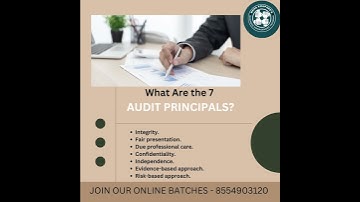 What Are the 7 AUDIT PRINCIPALS?