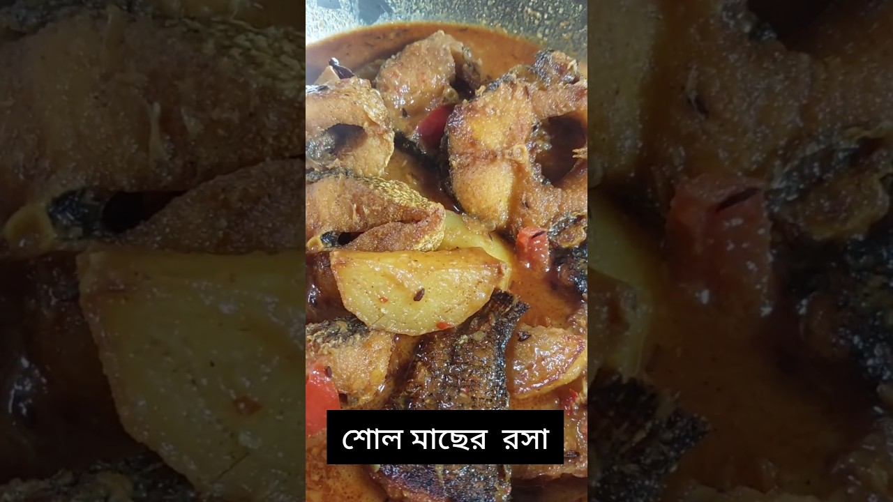 শোল মাছের ঝোল||shol macher jhol recipe in Bengali||#sorts #testy #food #viralfood #recipe #love