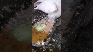 pig is eating slop asmr haram pig kitchenwaste asmrfood food countryside mukbang