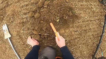 Nexus Standard MP V3 Finds Small Non-Ferrous Target In Iron Using 10