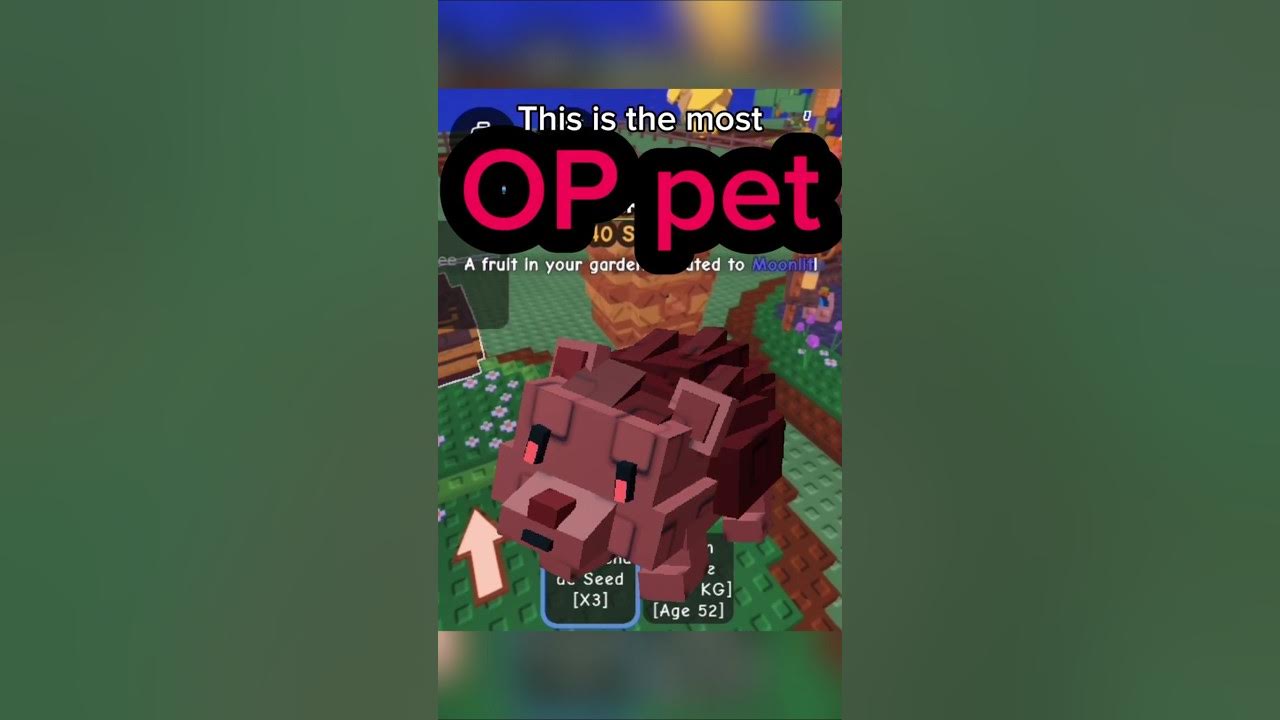 Most OP pet in Grow a Garden Song:Morning mood #roblox #growagarden Most OP pet in Grow a Garden Song:Morning mood #roblox #growagarden