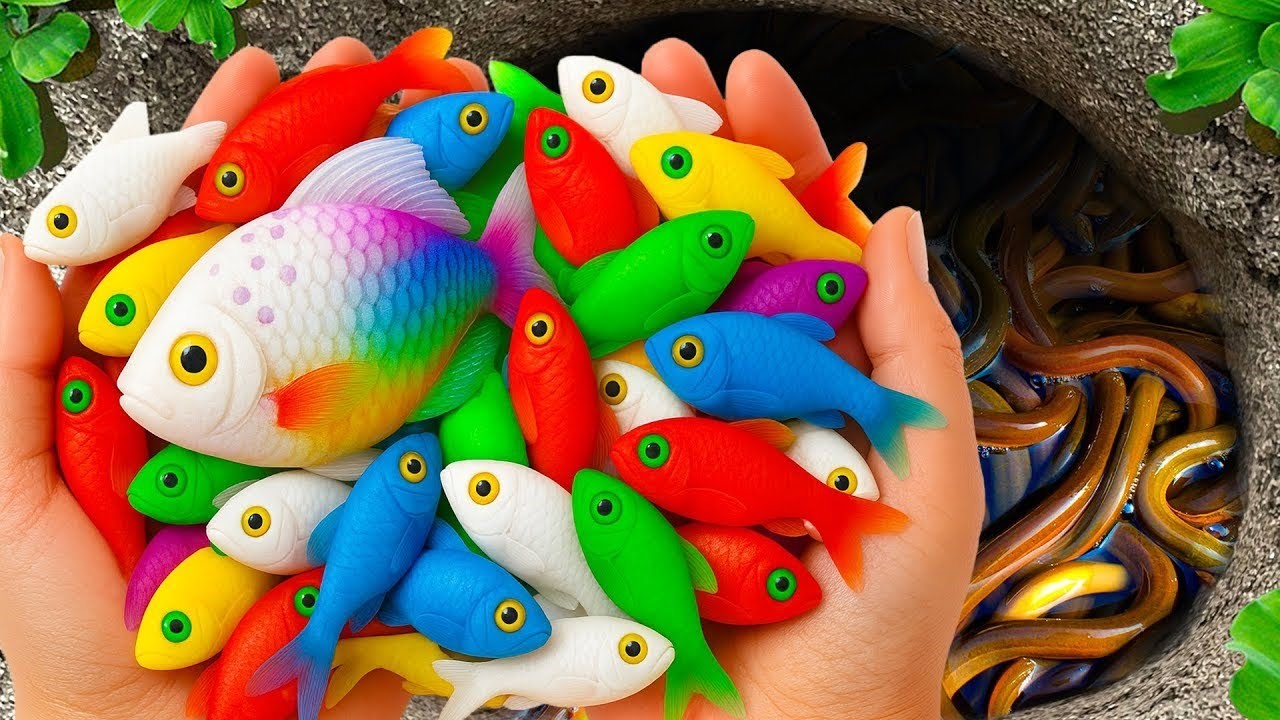 Colorful Giant Eggs Opening – Koi, Eel & Aquarium Fish Found