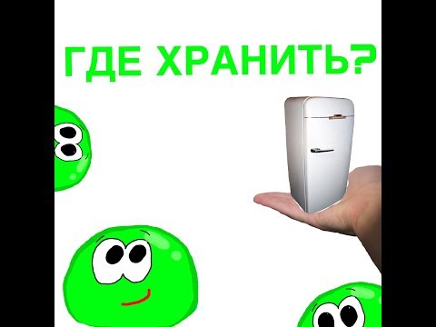 ГДЕ ХРАНИТЬ ЛИЗУНА?