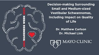 DecisionMaking Surrounding Small and MediumSized Vestibular Schwannomas