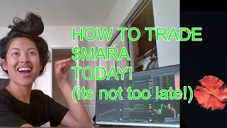 HOW TO TRADE MARA