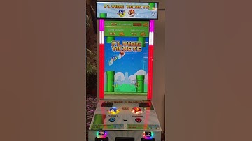 Flappy Bird Arcade Game Machine
