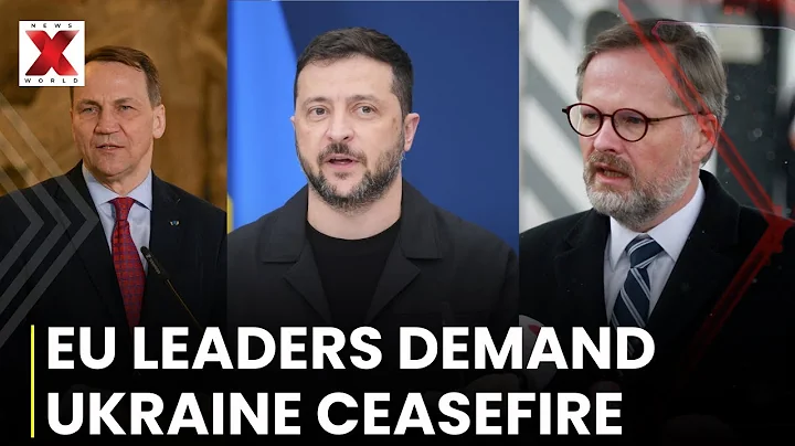 EU Leaders Demand Security Guarantees For Ukraine, Stress Ceasefire Before Peace Talks | NewsX World