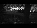 Svob0da DAYZ FRAGMOVIE #fragmovie #dayz #ez