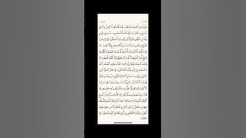 الورد اليومي: 4 صفحات (341-342-343-344) لتجنب هجر القرآن | تذكير يومي مستمر #قرآن #تلاوة