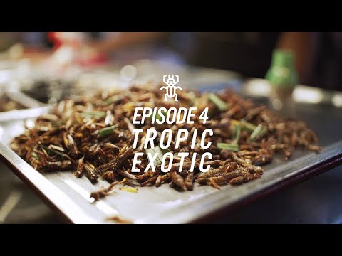 AirAsia | Eatsperience