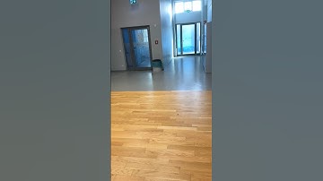 My first loop in School! #birdtrend 🙏