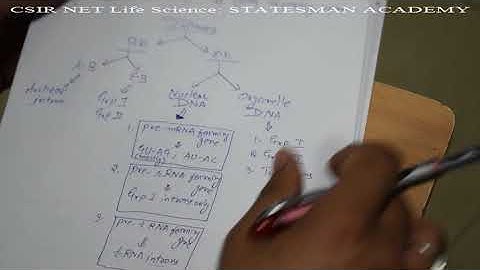 CSIR NET Life Science Coaching | Transcription | Statesman Academy |
