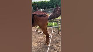 Be yourself and enjoy what you have, the work you are doing!