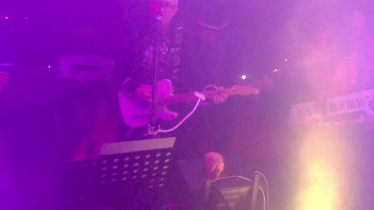 ordinary guise fir tree fest 2024