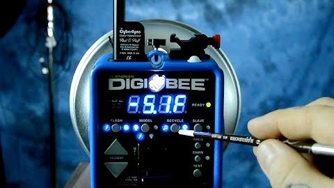 Yes! DIGIBEE COMPLETE INSTRUCTIONS: How to use & operate them. Simplicity is Divinity!