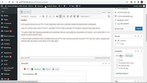 Lesson 17: How to Add and Publish a New Post in WordPress with Classic Editor Plugin