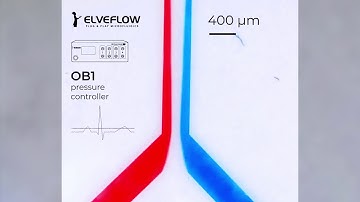 Microfluidic blood flow behaviour with hydrodynamic focusing using Elveflow OB1 pressure controller