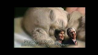 (graphic) peroutka04 ad against Bush and Kerry