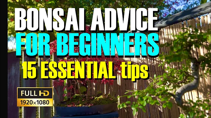 New to Bonsai? 15 ESSENTIAL tips you MUST know