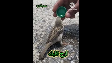 تلاوة خاشعة تريح القلب والأعصاب ارح قلبك وسمعك @@