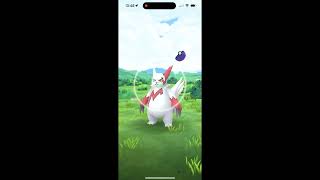 0335 Zangoose Forced Critical Catch