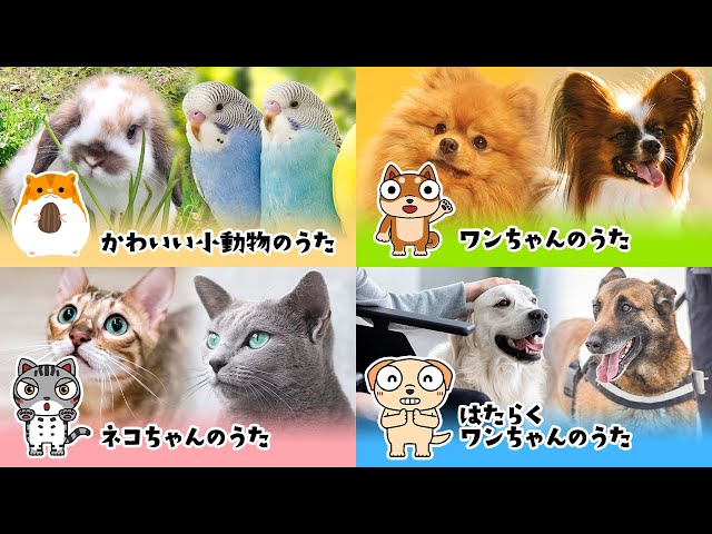 かわいいペットのうた大集合メドレー