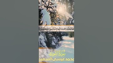 "ذلك الذي يبشر الله عباده" قراءة خاشعة هادئة سورة الشورى _ محمد عيسى السعيد 🎙️ #دقيقة_قرآن #تلاوات
