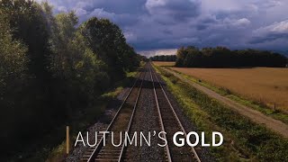 Komoka, Ontario | Autumn's Gold