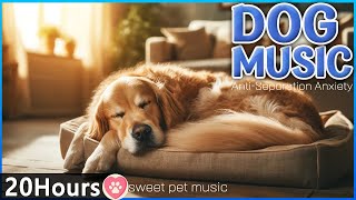 20 HOURS of Dog Calming Music For Dogs🎵Anti Separation Anxiety Relief Music💖🐶Dog Soothong Music