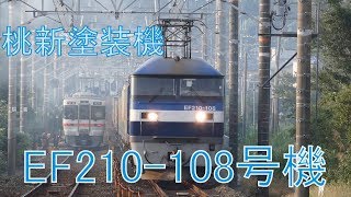 2019/09/11 JR貨物 朝の貨物列車5本揃った 1055レに桃新塗装108号機