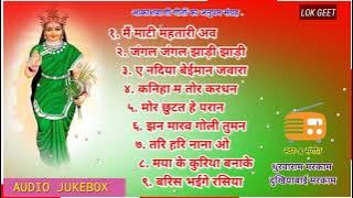 Dhurwa Ram Markam & Dukhiyabai Markam / Audio Jukebox Chhattisgarhi Best Collection