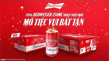 BUDWEISER 250ML MỚI - MỞ TIỆC VUI BẤT TẬN