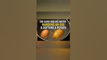 The Same Boiling Water Hardens an Egg & Softens a Potato | Control Your Environment