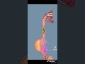 الأمراض في الجهاز الهضمي للأنسان وضرر غاز الأمونيا على بقية الجسم ومنها الصداع وألآم المفاصل