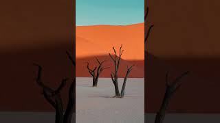 #shorts Beauty of #africa #travel #viral #namibia