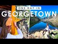 One EPIC Day in GEORGETOWN, Colorado | Things to DO, EAT & SEE